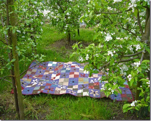 quilt-in-boomgaard-2 quilt-in-boomgaard-2