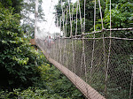 DSCF0539.JPG