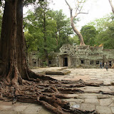 Asia - Cambodia - Ta Prohm