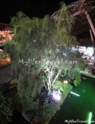 Mae Salong Restaurant 09 Mae Salong Restaurant 09