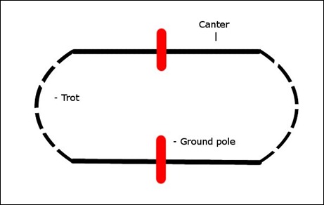 Canter-Trot Exercise