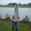 FestaVarzeadoBuriti2011-044.JPG
