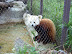 National Zoo in August