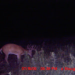MDGC0262.JPG