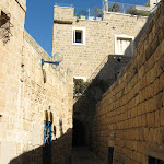 IMG_3428.JPG