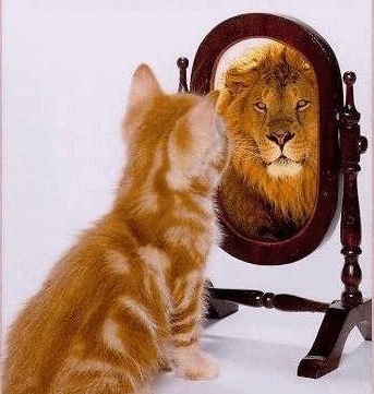 [Perception1%255B7%255D.jpg]