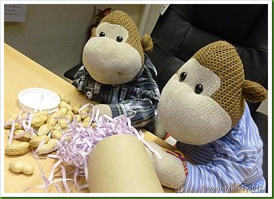 Monkey Nuts Monkey Nuts