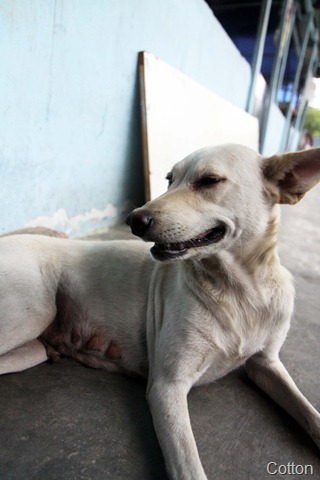 [IMG_0315%255B4%255D.jpg]