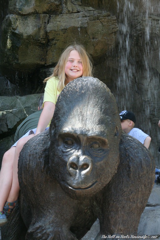 [wreath%2520and%2520zoo%2520126%255B4%255D.jpg]
