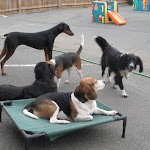 DSCN3458.jpg