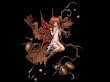 Fairy Of Oak Acorns