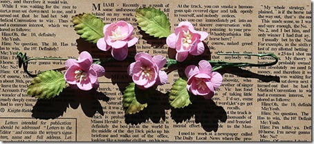 862A0082 - Copy 862A0082 - Copy