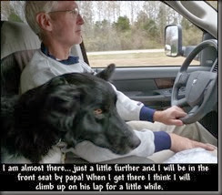 I am almost there... just a little further and I will be in the <br /> front seat by papa! When I get there I think I will<br /> climb up on his lap for a little while. I am almost there... just a little further and I will be in the <br /> front seat by papa! When I get there I think I will<br /> climb up on his lap for a little while.
