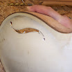 100_3763.JPG