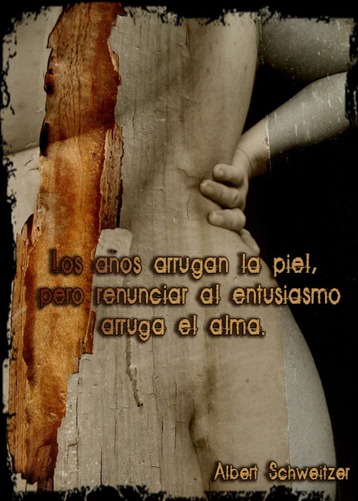 piel1
