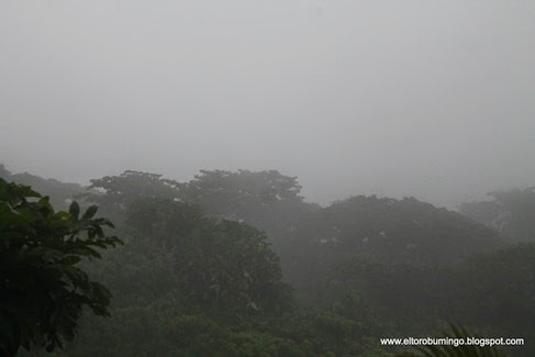 IMG_3480 IMG_3480