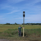 Kestrel-Bat Houses