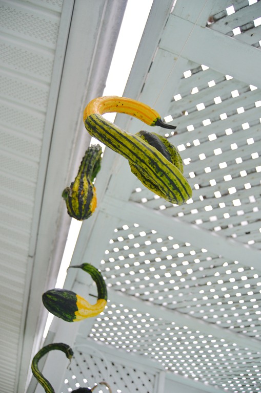 [houzz%2520hanging%2520guords%2520amy%2520renea%2520a%2520nest%2520for%2520all%2520seasons%255B8%255D.jpg]