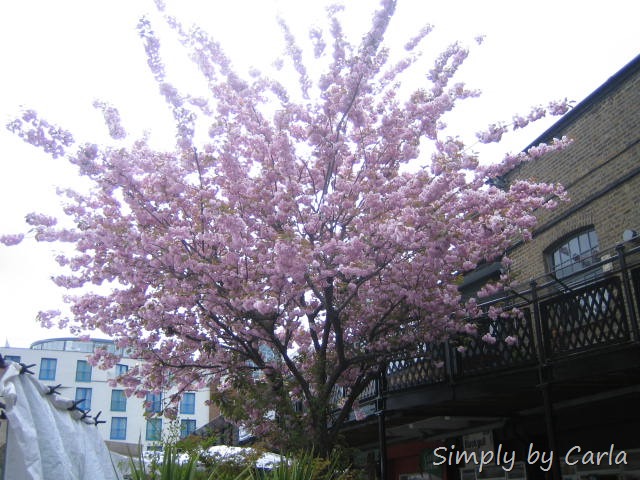 [IMG_3186%255B8%255D.jpg]