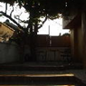 View album