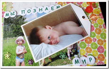 IMG_1339 IMG_1339