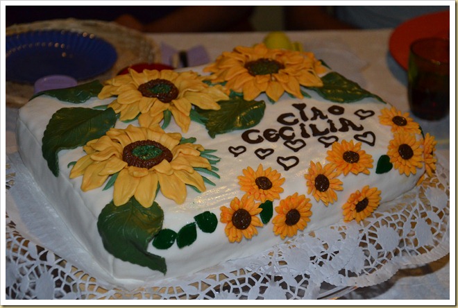 DSC_0745 DSC_0745