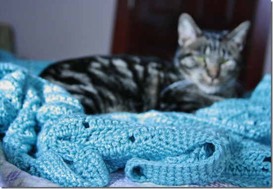 blanket b