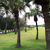 20060819_22_kenting_022.jpg
