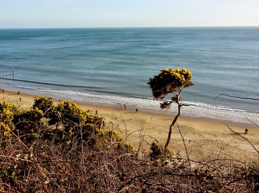 [DSC00991%2520%25281300x969%2529%255B4%255D.jpg]