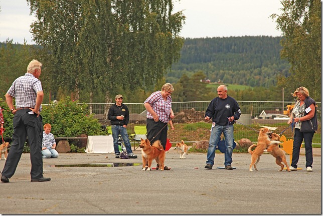 Spesialen 2011_210811_2316