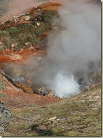 DSCF7870