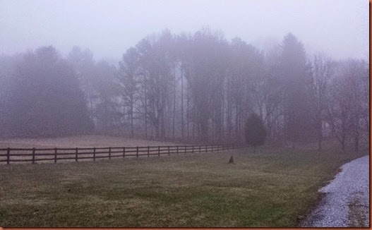 20141216_070349 20141216_070349