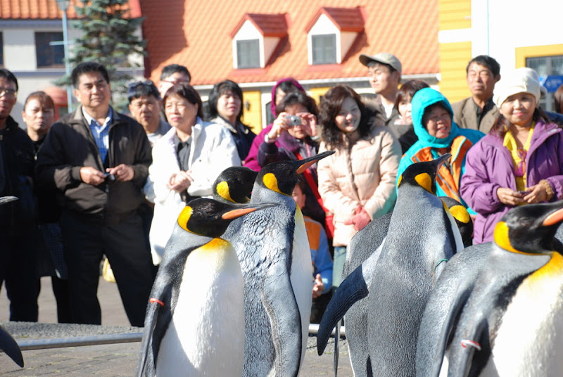 hokkaido_331.jpg