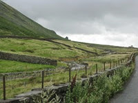 IMG_2815 IMG_2815