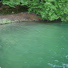 dsc04082.jpg