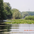DSCN8260.JPG