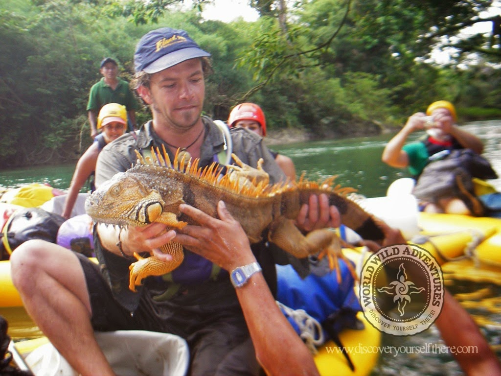 [%2528c%2529Worldwildadventures-2212%255B6%255D.jpg]