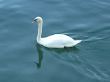 2011-08-20_19-42-54.JPG