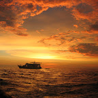 IMG_1631.JPG