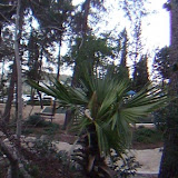 למכירה דירה ברחביה - ירושלים