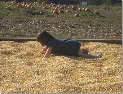 swimming in the corn pit