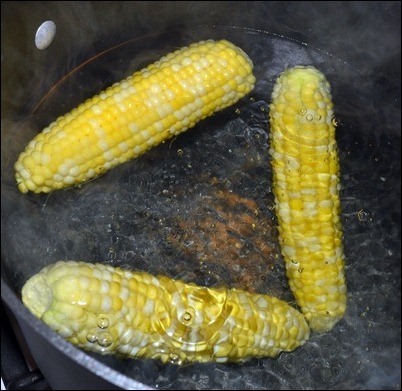 boiled corn boiled corn