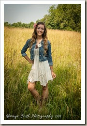 Taylor-web-22 Taylor-web-22