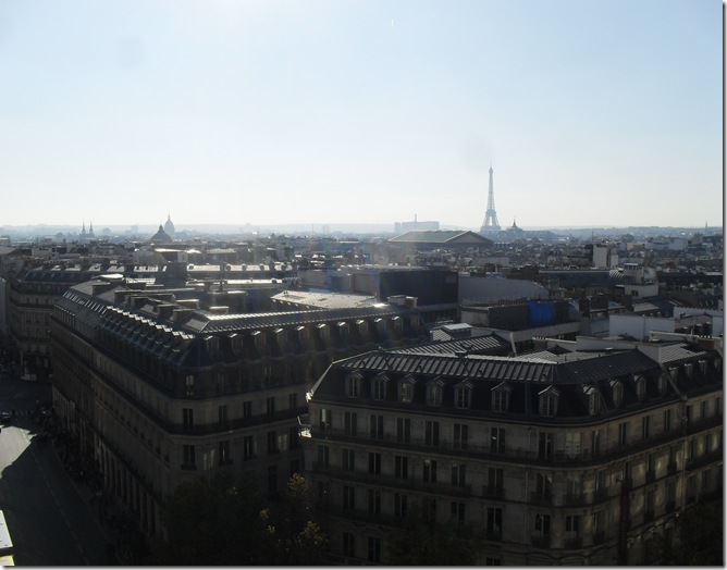SDC18839