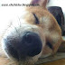 Don‘t bother me, I am sleeping~