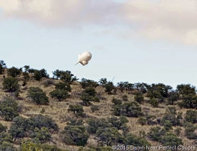 Blimp