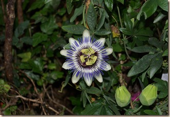 DSC00438