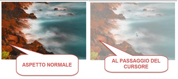 effetto-opacità-singola-foto effetto-opacità-singola-foto