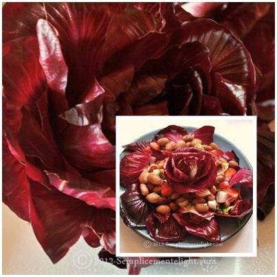 Contorno con radicchio di Gorizia,fagioli borlotti ,verza e peperoni Contorno con radicchio di Gorizia,fagioli borlotti ,verza e peperoni