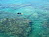  Phuket Adası Resimleri Fotoğrafları